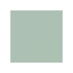 CE.SI ALOE Mat 10x10cm