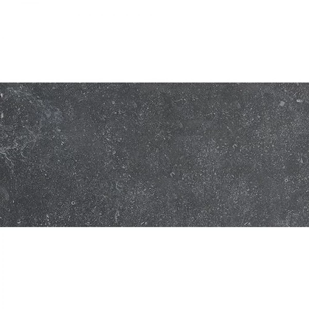 Fioranese Manoir Noir Hainaut 30,2 X 60,4 5 Fioranese Manoir Noir Hainaut 30,2 X 60,4 - Afbeelding 5