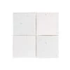 Vietnamese Terra T16 Milk White 10 X 10 Cm Per M²