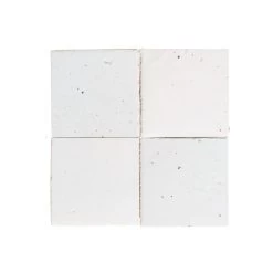 Vietnamese Terra T16 Milk White 10 X 10 Cm Per M²