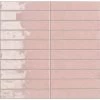 Sartoria Vernici Baby Pink 25x5 Cm