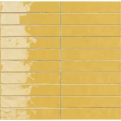 Sartoria Vernici Mustard Mayo 25x5 Cm